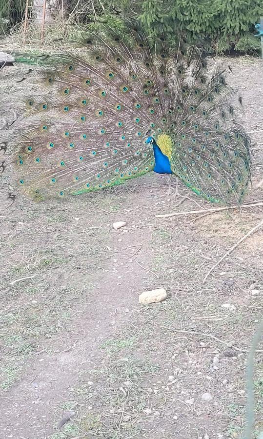 فيلا Authuilleفي Maison Au Bord De L'Ancre المظهر الخارجي الصورة